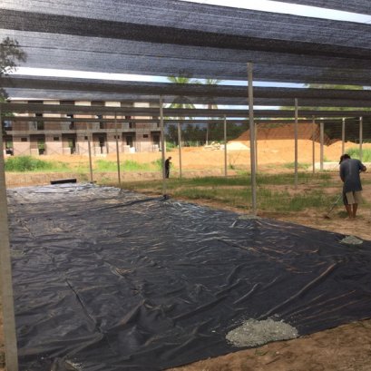 ผืนพลาสติก LDPE ปูคลุมผิวดิน เพื่อกันวัชพืช