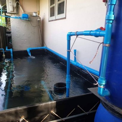 พื้นที่บริเวณข้างบ้าน อยากจะทำบ่อเลี้ยงปลาไว้ซักบ่อ