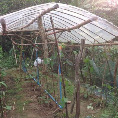 พลาสติกใสขุ่น ใส่กับโครงสร้างไม้ จ.นราธิวาส