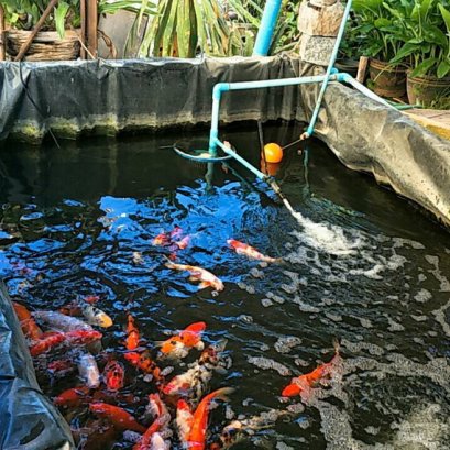 บ่อปูนเดิมรั่ว ปูทับด้วยพลาสติก LDPE แบบผืน เพื่อใช้งานต่อ