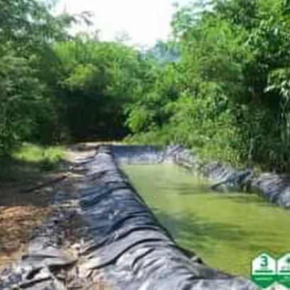 !!! พลาสติก LDPE/LLDPE ปูบ่อน้ำ ไม่ได้ทำให้น้ำเสีย !!!