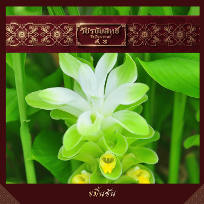 ขมิ้นชัน