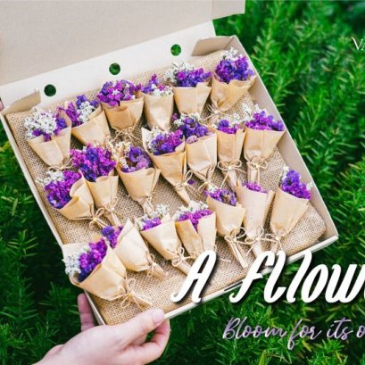 ผักตบชวาเจ้าปัญหา ?