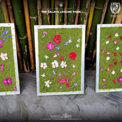 กระดาษสาจากผักตบชวา