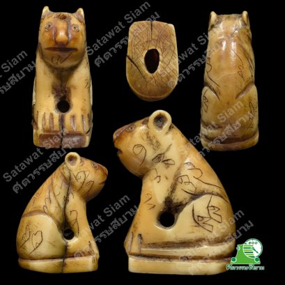 เสือหลวงพ่อปาน วัดบางเหี้ย จ.สมุทรปราการ