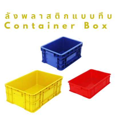 ลังพลาสติกแบบทึบ   (CONTAINER BOX )