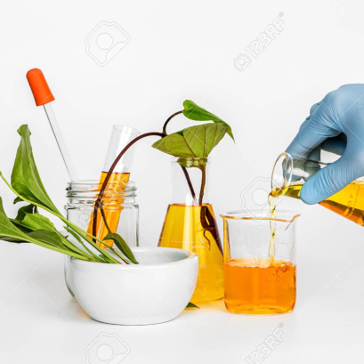 Lorem ipsum dolor sit amet, pri et feugiat consulatu. Eu per ceteros platonem. 