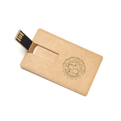 (ECO-U-01) Flash Drive ECO