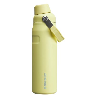 IceFlow Bottle with Fast Flow Lid  24oz