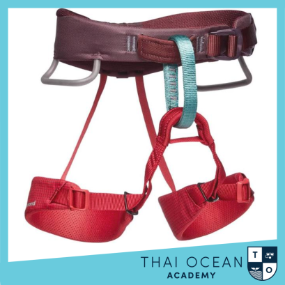 Black Diamond Momentum Harness One Size For Kids