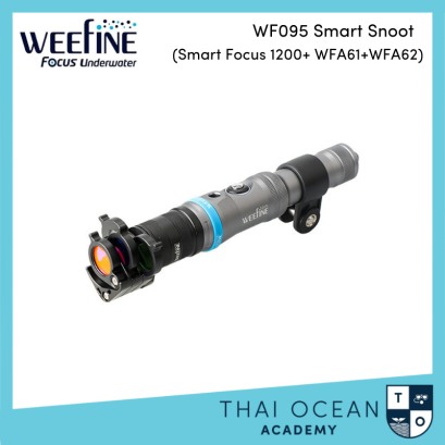 Weefine WF095 smart focus 1200 + WFS61 + WFA62
