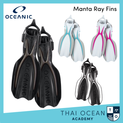 Oceanic Manta Ray Fins