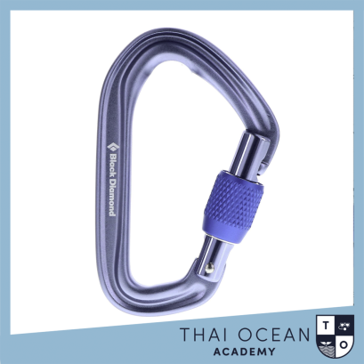 Black Diamond LiteForge Screwgate Carabiner 