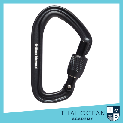 Black Diamond HotForge Screwgate Carabiner