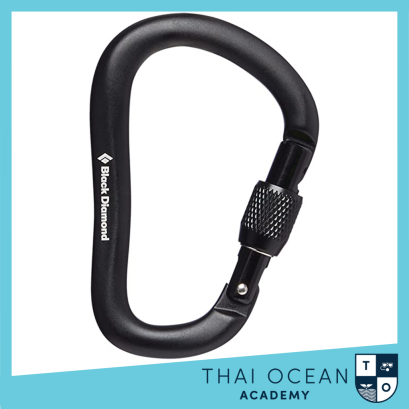 Black Diamond Rocklock Screwgate Carabiner 