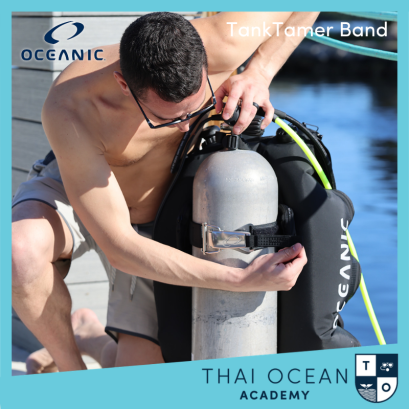 Oceanic TankTamer Band &ndash; Secure, Quick-Release Stabilit