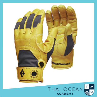 Black Diamond Transition Gloves