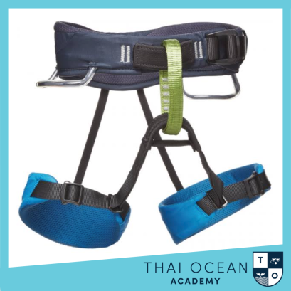 Black Diamond Momentum Harness One Size For Kids (Boy) Kingfisher 