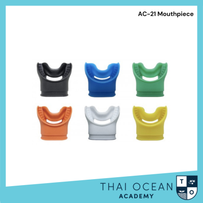 AC-21 mouthpiece