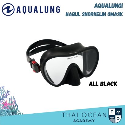 Aqualung Nabul Mask