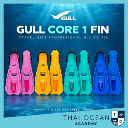 GULL CORE 1 FINS