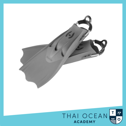 Hollis F-1 LT Fin