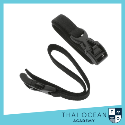 SHEARWATER PERDIX AND PETREL STRAP