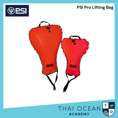 PSI Pro Lifting Bag