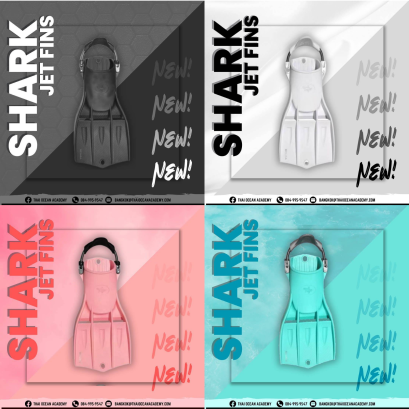shark fins ฟินดำน้ำ