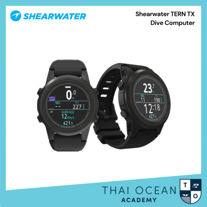 shearwater tern & tern tx