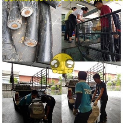 เติมเต็มคำขอบคุณ ลูกค้า เครื่องปอกสายไฟ RAMBO