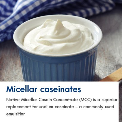 Sodium Caseinates