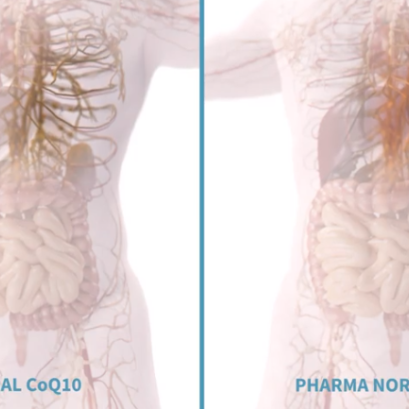 CoQ10 - The Secret Behind CoQ10 Absorption