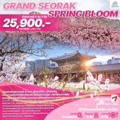 KR25 ทัวร์เกาหลี GRAND SEORAK SPRING BLOOM  5วัน 3คืน (OZ)