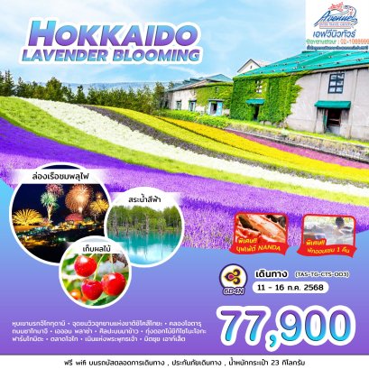 JP01 ทัวร์ญี่ปุ่น ฮอกไกโด LAVENDER BLOOMING 6 วัน 4 คืน (TG)