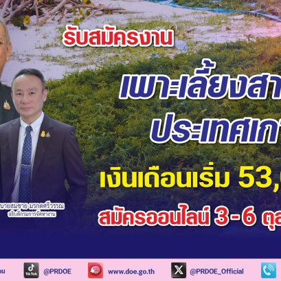 กรมการจัดหางานเปิดรับสมัครคนงานชาย  เพาะเลี้ยงสาหร่ายทะเล-เงินเดือน5.3หมื่นบาท