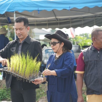"อบจ.สงขลา"เดินหน้าปีที่ 4 กิจกรรมดำนา โยนกล้า หว่านข้าว 