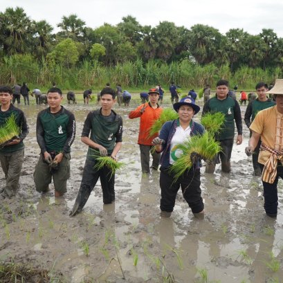 เกษตรอยุธยา ราชมงคลสุวรรณภูมิ  หว่านกล้า-ดำนาสืบสานภูมิปัญญาไทย 