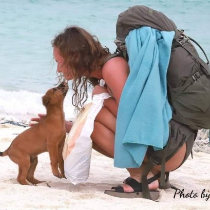 โลกสวยด้วย"มือถือ" เปิดมุมมอง...หมา ๆ