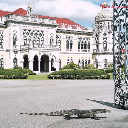 โลกสวยด้วย"มือถือ" มือไว-ใจนิ่ง“ภาพสมบูรณ์แบบ”