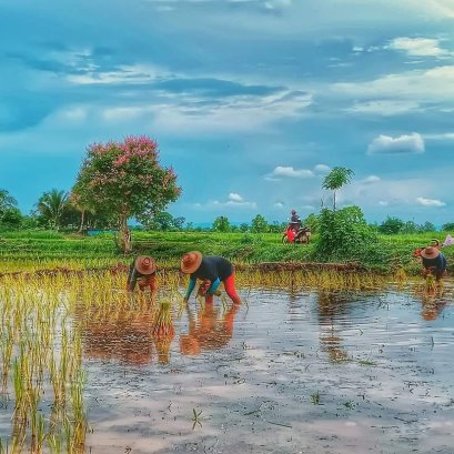 "หลังสู้ฟ้า-หน้าสู้ดิน"ชีวิตที่มีกิน มีใช้-มีเกียรติ-มีศักดิ์ศรี(ไปพร้อมๆกัน) 