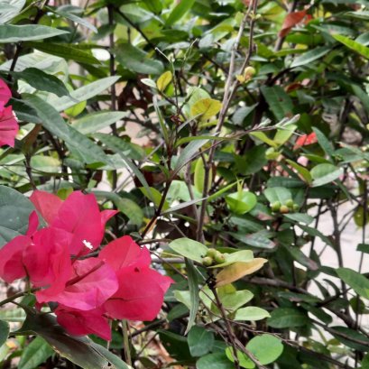 โลกสวยด้วย"มือถือ" มองดี ๆ คุณเห็นอะไรในภาพนี้!!!