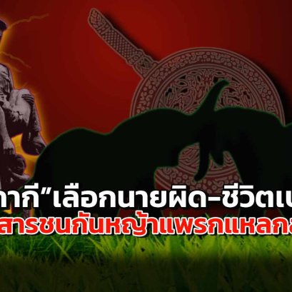 ศึกสีกากีเลือกนายผิด-ชีวิตเปลี่ยน  ช้างสารชนกันหญ้าแพรกแหลกลาญ