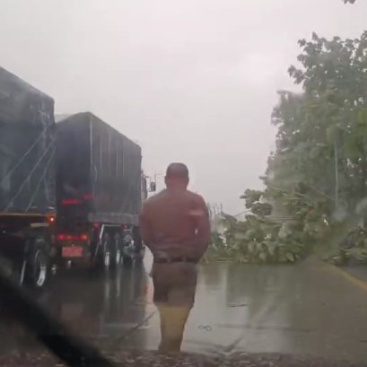 ความปลอดภัยของปชช.ต้องมาก่อน ชื่นชม"ตร.ทางหลวง"จัดการกิ่งไม้หักขวางทาง (ชมคลิป)