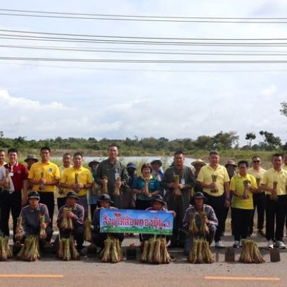 กองบิน 3 ร่วมกับกรมพัฒนาที่ดิน จัดกิจกรรมรณรงค์-ส่งเสริมการปลูกหญ้าแฝก