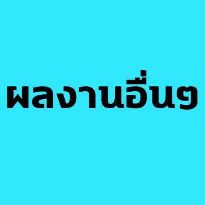 ผลงานโครงการอื่นๆ ของบริษัท เอส.พี.อาร์ต จำกัด