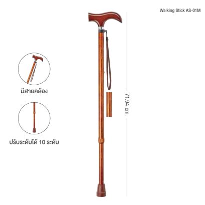 WALKING STICK (AS-01M)