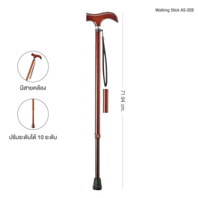 WALKING STICK (AS-02B)