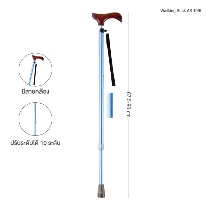 WALKING STICK (AS-10BL)