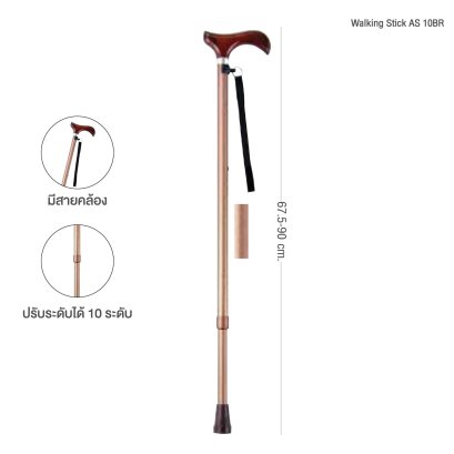 WALKING STICK (AS-10BR)